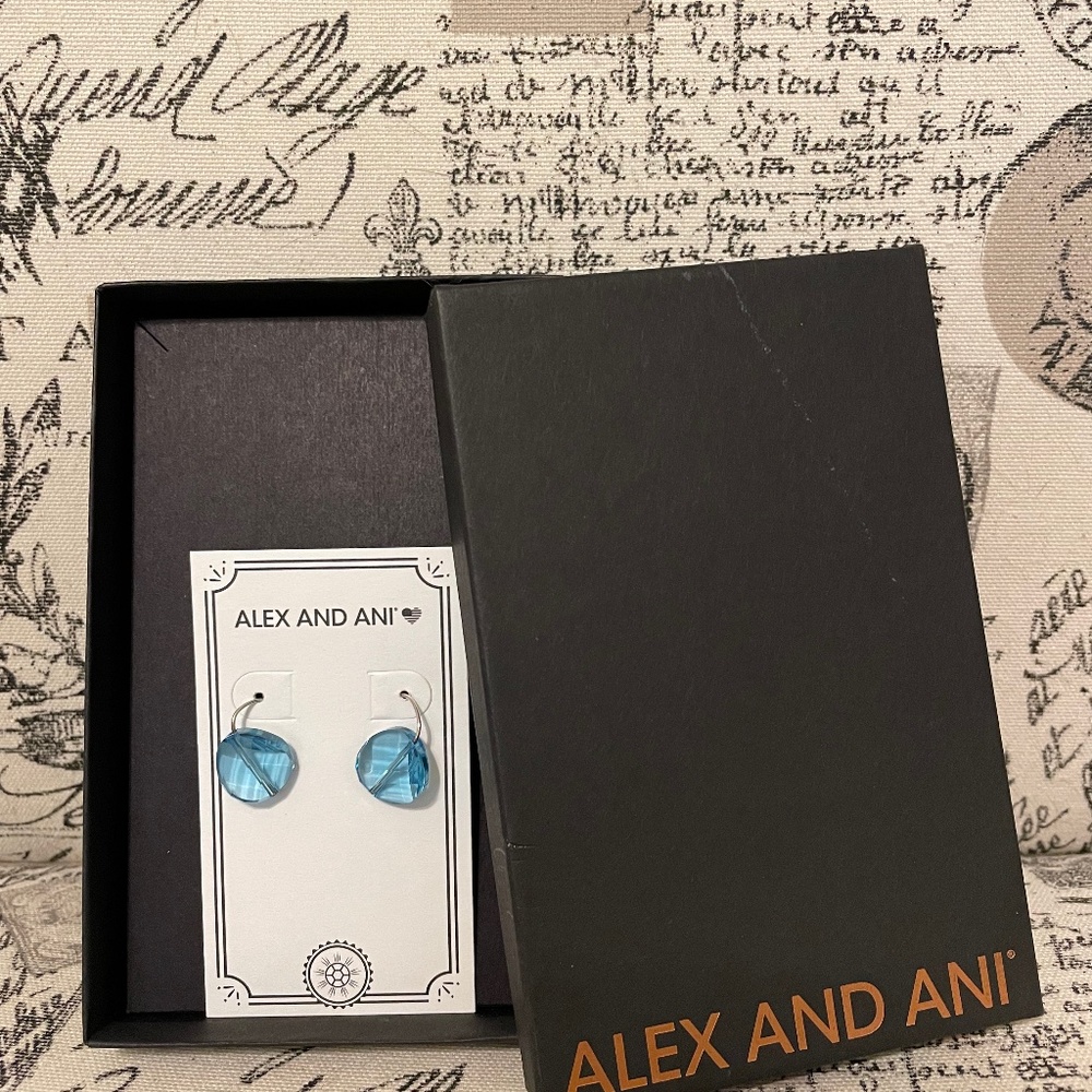 Alex and Ani earrings
